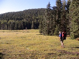 The Meadow at Crooked Creek - Cabin to the left, Trail to Wild Horse to the right
